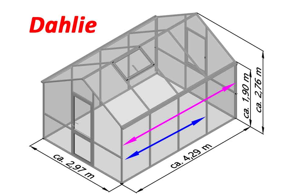 Gewaechshaus Dahlie mit 16 mm HKP sind in verschiedenen Grössen erhältlich