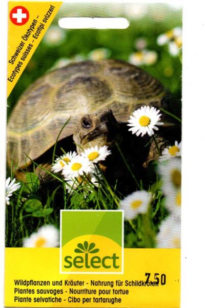 Samenmischung für Schildkröten
