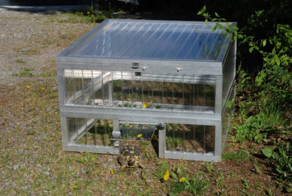 schildkrötenhaus oder schildkrötenfrühbeet top low mit 100 %Alltop, top100low